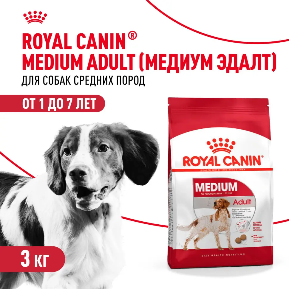 Royal canin medium adult сухой корм для взрослых собак средних пород от 12 месяцев до 7 лет, со свининой - 3 кг в интернет-зоомагазине Pets Room