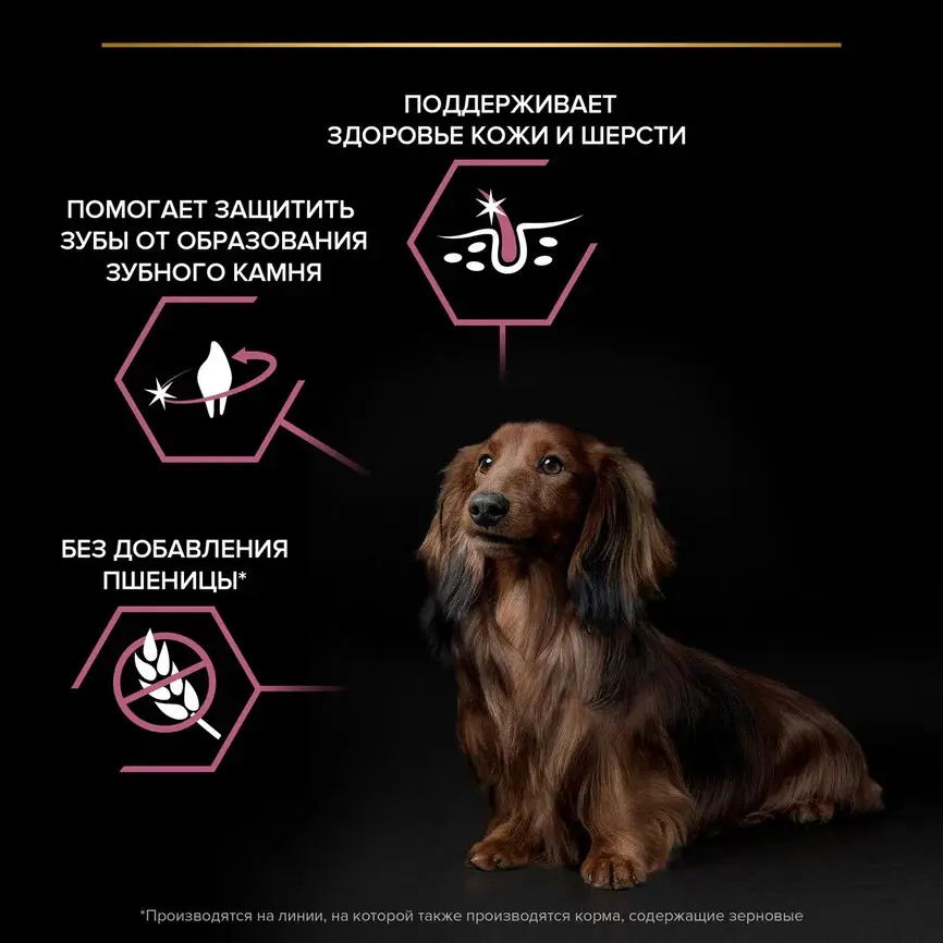 Pro plan сухой корм для взрослых собак мелких и карликовых пород с чувствительной кожей, с высоким содержанием лосося - 2,5 кг + 500 г в подарок в интернет-зоомагазине Pets Room