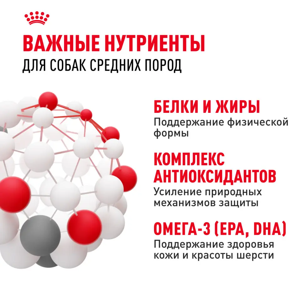 Royal canin medium adult сухой корм для взрослых собак средних пород от 12 месяцев до 7 лет, со свининой - 3 кг в интернет-зоомагазине Pets Room