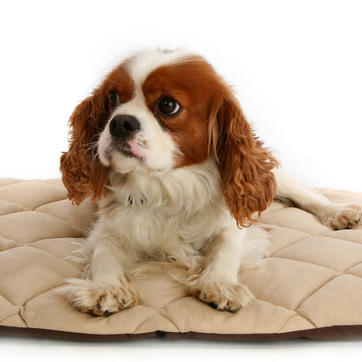 Duvo+ лежак-матрас для животных согревающий "флекта", бежевый, 46х36x3см! в интернет-зоомагазине Pets Room
