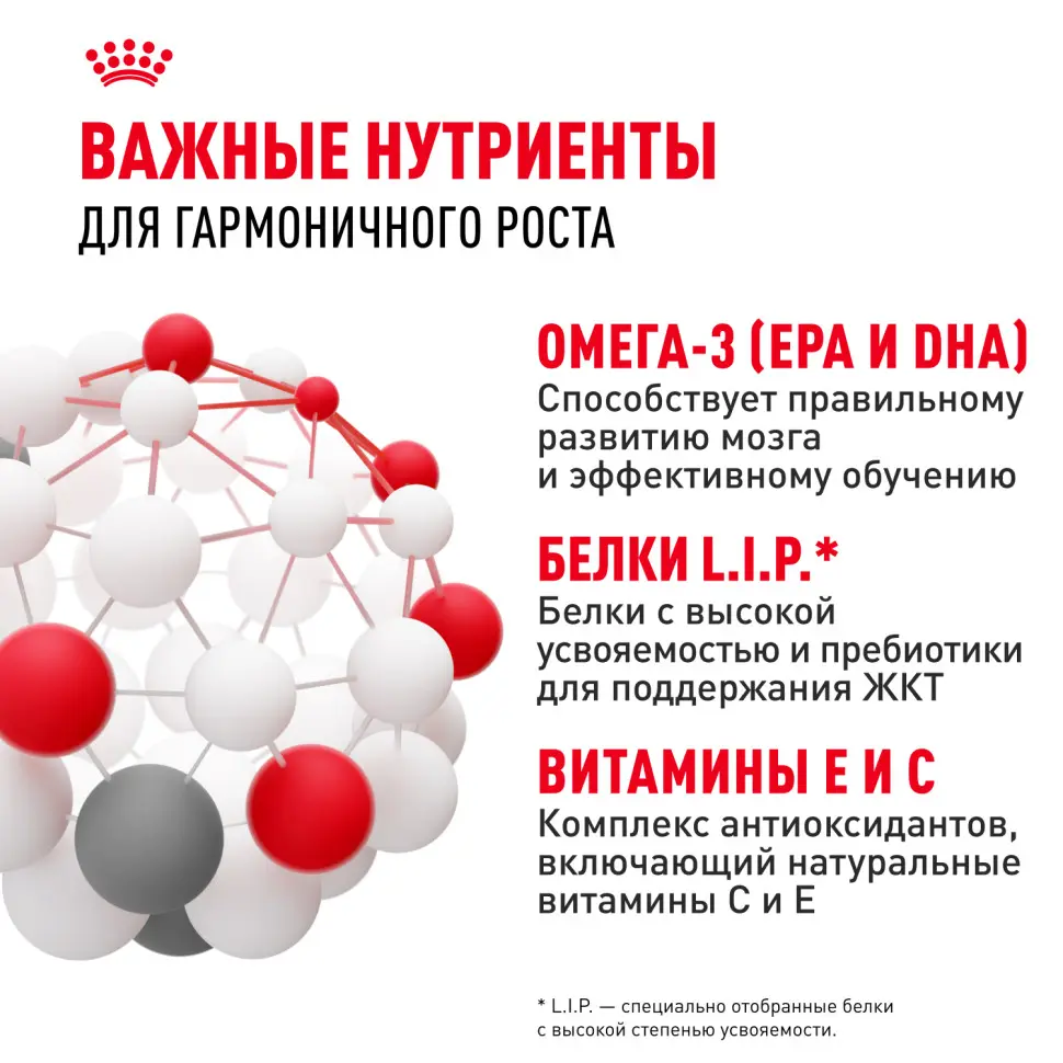 Royal canin maxi puppy сухой корм для щенков крупных пород до 15 месяцев - 3 кг в интернет-зоомагазине Pets Room