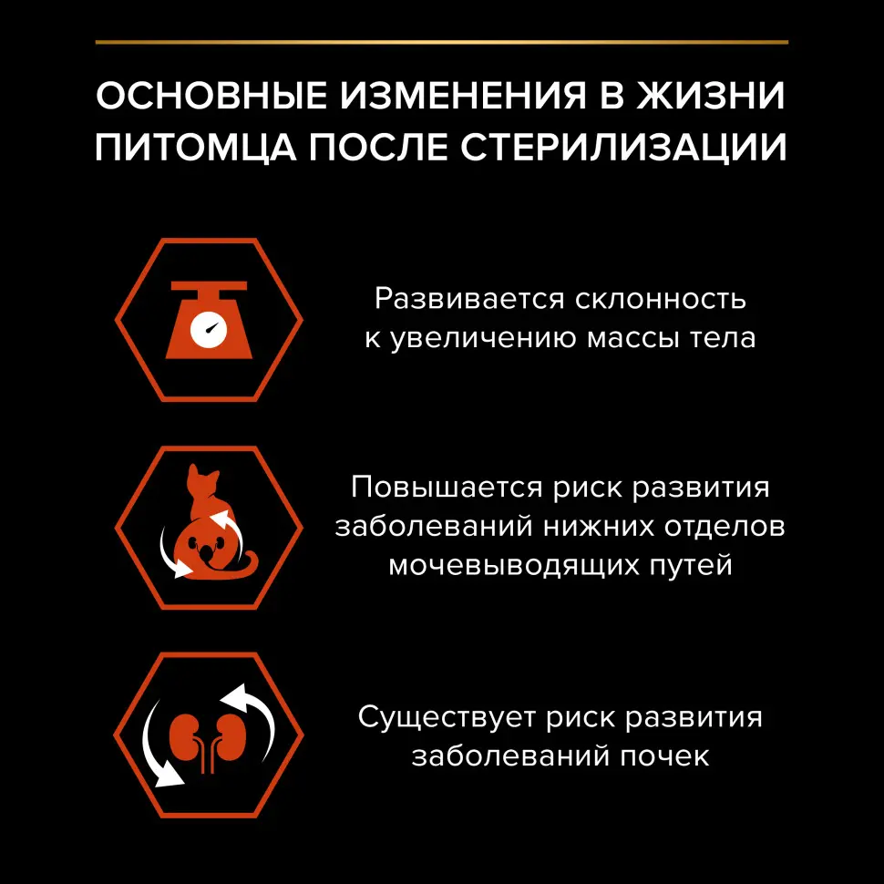 Pro plan cat adult sterilised vital functions сухой корм для стерилизованных кошек для поддержания функций почек, мозга и иммунитета, с высоким содержанием лосося - 400 г в интернет-зоомагазине Pets Room