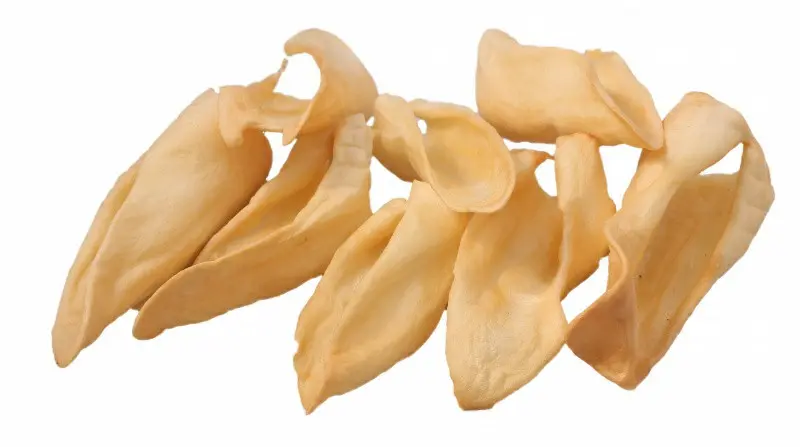 Titbit лакомство для собак ухо баранье xl - 65 г в интернет-зоомагазине Pets Room