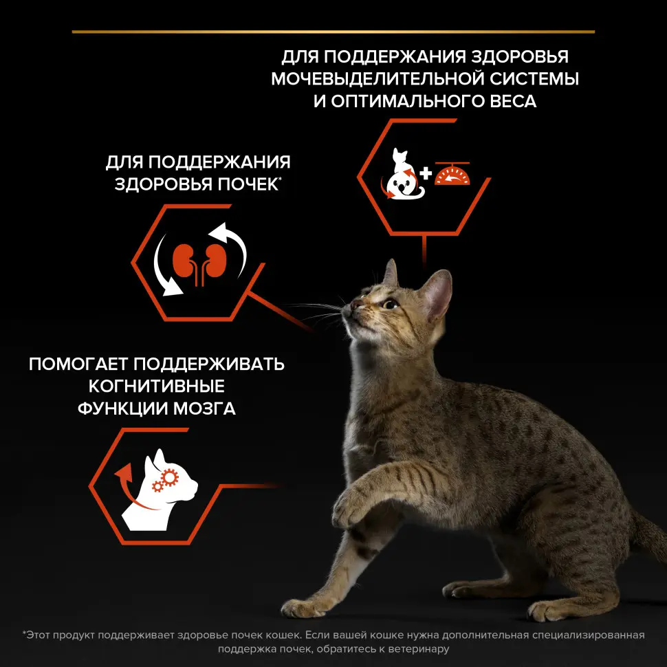 Pro plan cat adult sterilised vital functions сухой корм для стерилизованных кошек для поддержания функций почек, мозга и иммунитета, с высоким содержанием лосося - 400 г в интернет-зоомагазине Pets Room