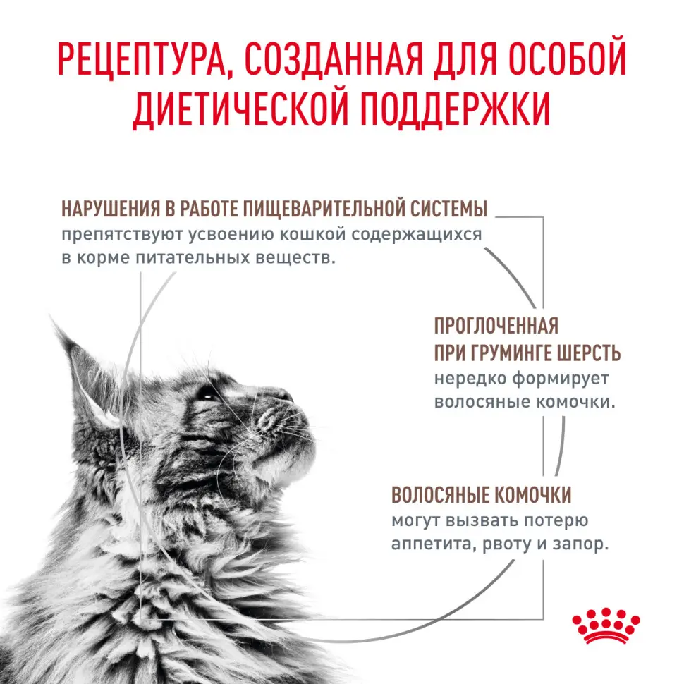 Royal canin vd gastrointestinal хэйрболл контрол фелин 0,4 кг в интернет-зоомагазине Pets Room