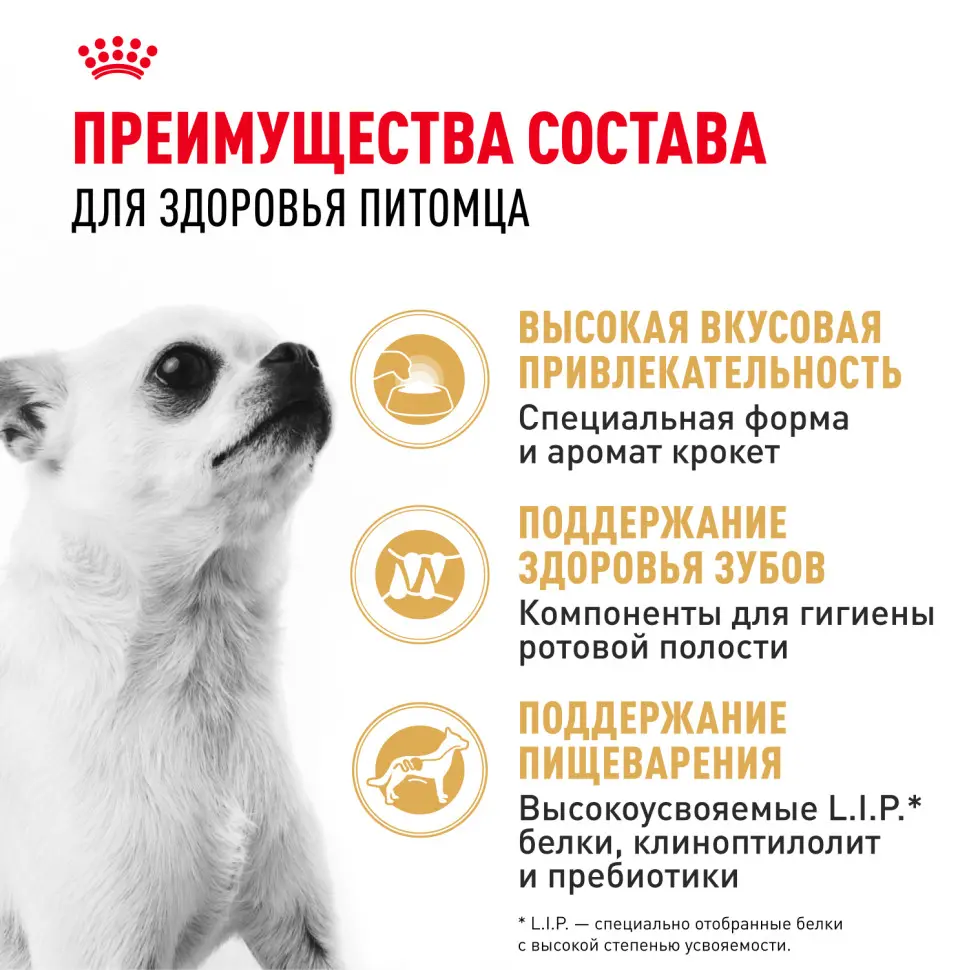 Royal canin chihuahua adult сухой корм для собак породы чихуахуа в возрасте 8 месяцев - 1,5 кг в интернет-зоомагазине Pets Room