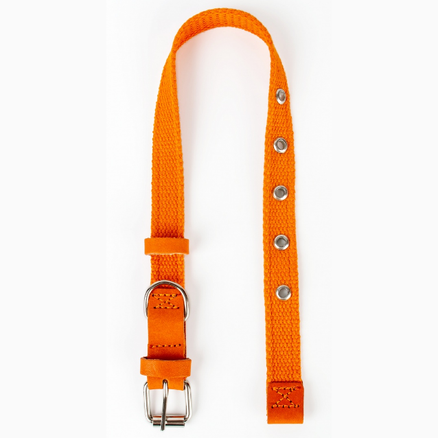 Ошейник №30 (брезент) син. в интернет-зоомагазине Pets Room