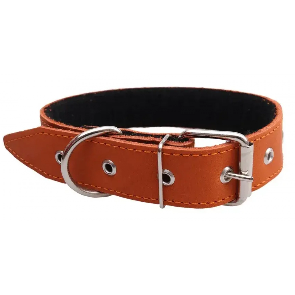 Ошейник кож. №20 б/разм (36 см) rich breed в интернет-зоомагазине Pets Room
