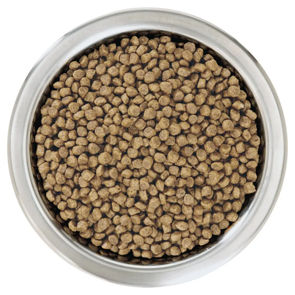 Pro plan opti start small mini сухой корм для щенков мелких и карликовых пород с курицей - 700 г в интернет-зоомагазине Pets Room