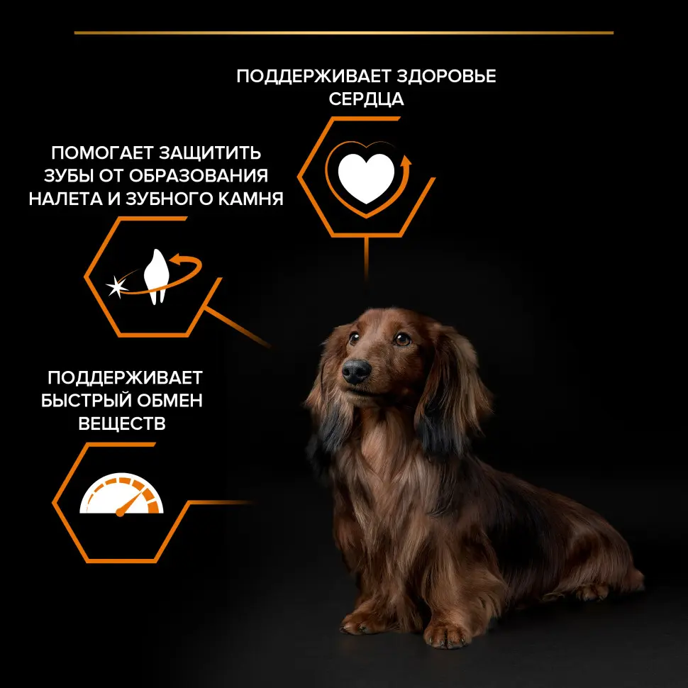 Purina pro plan small & mini сухой корм для взрослых собак миниатюрных и мелких пород с курицей и рисом - 700 г в интернет-зоомагазине Pets Room