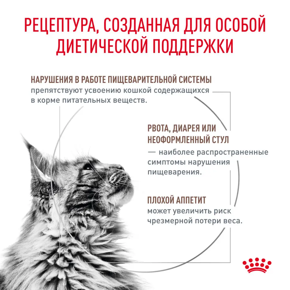 Royal canin gastrointestinal сухой диетический корм для взрослых кошек, при острых расстройствах пищеварения, в реабилитационный период и при истощении - 350 г в интернет-зоомагазине Pets Room
