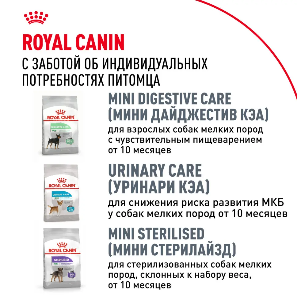 Royal canin chihuahua adult сухой корм для собак породы чихуахуа в возрасте 8 месяцев - 1,5 кг в интернет-зоомагазине Pets Room
