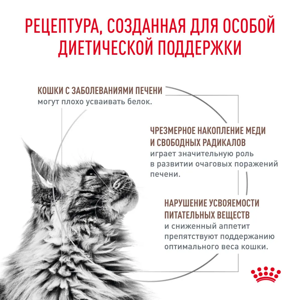 Royal canin hepatic лечебный сухой корм для кошек с заболеваниями печени - 500 г в интернет-зоомагазине Pets Room