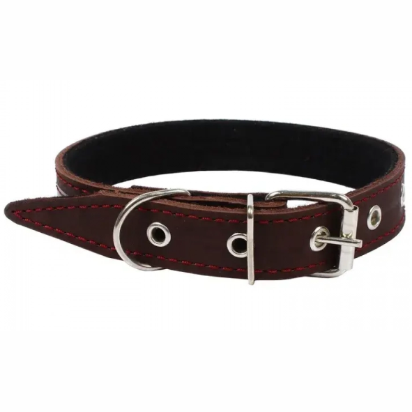 Ошейник кож. №30 на брезенте укр 1/2 (55 см) rich breed в интернет-зоомагазине Pets Room