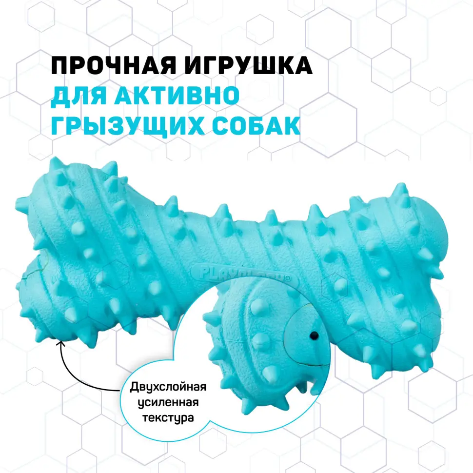 Playology puppy teething bone дентальная хрустящая жевательная косточка для щенков с ароматом арахиса, голубой в интернет-зоомагазине Pets Room
