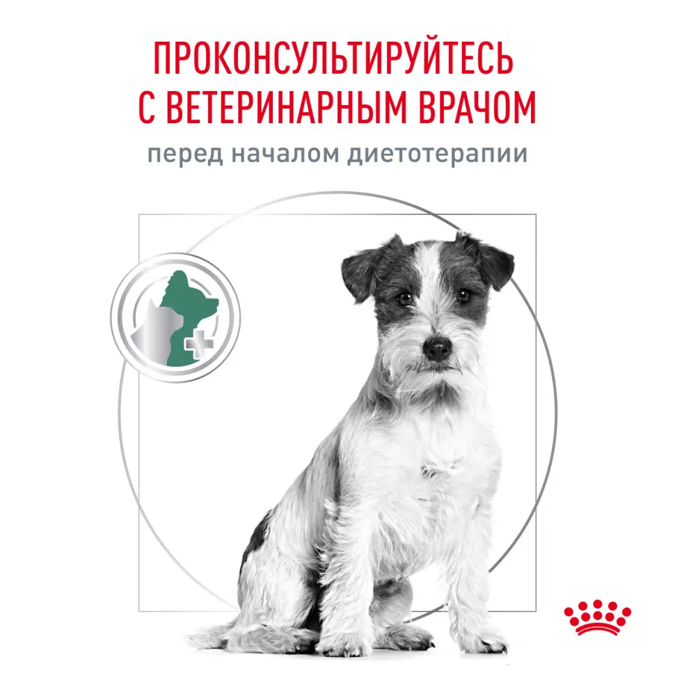Royal canin satiety weight management small dogs сухой корм для взрослых собак мелких пород для снижения веса - 500 г в интернет-зоомагазине Pets Room