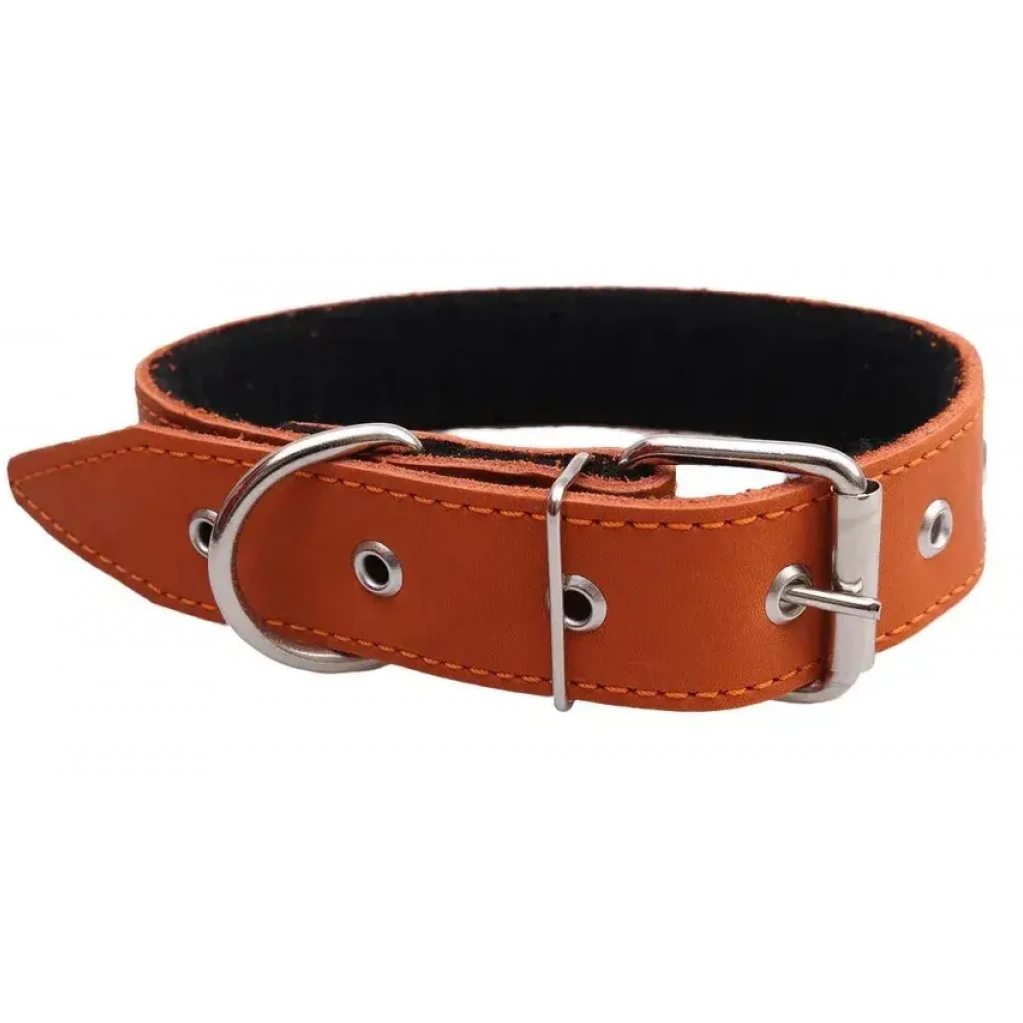 Ошейник кож. №35 синт (60 см) rich breed фото Ошейник кож. №35 синт (60 см) rich breed в интернет-зоомагазине Pets Room