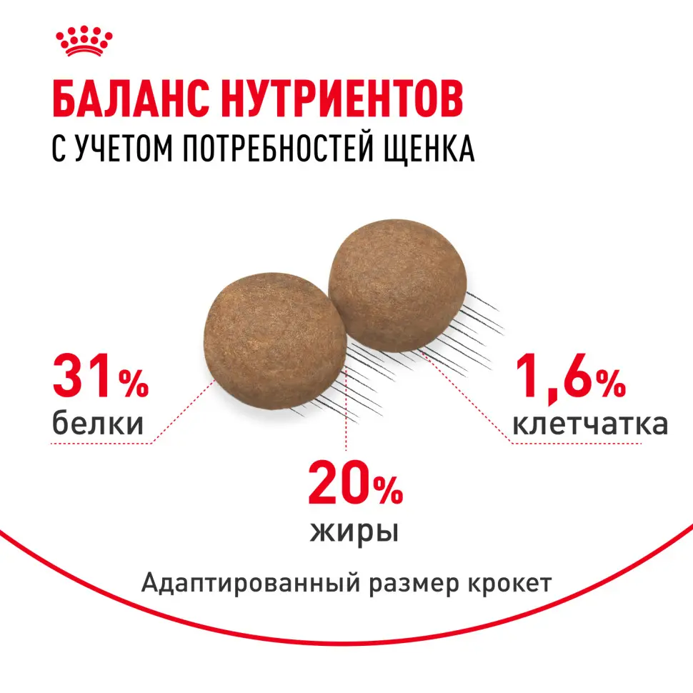 Royal canin mini puppy сухой корм для щенков мелких пород до 8 месяцев - 800 г в интернет-зоомагазине Pets Room
