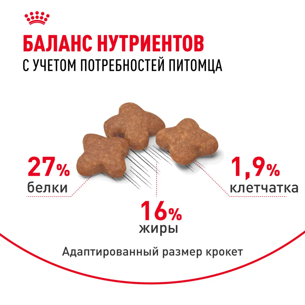 Royal canin mini adult сухой корм для собак мелких пород - 800 г в интернет-зоомагазине Pets Room