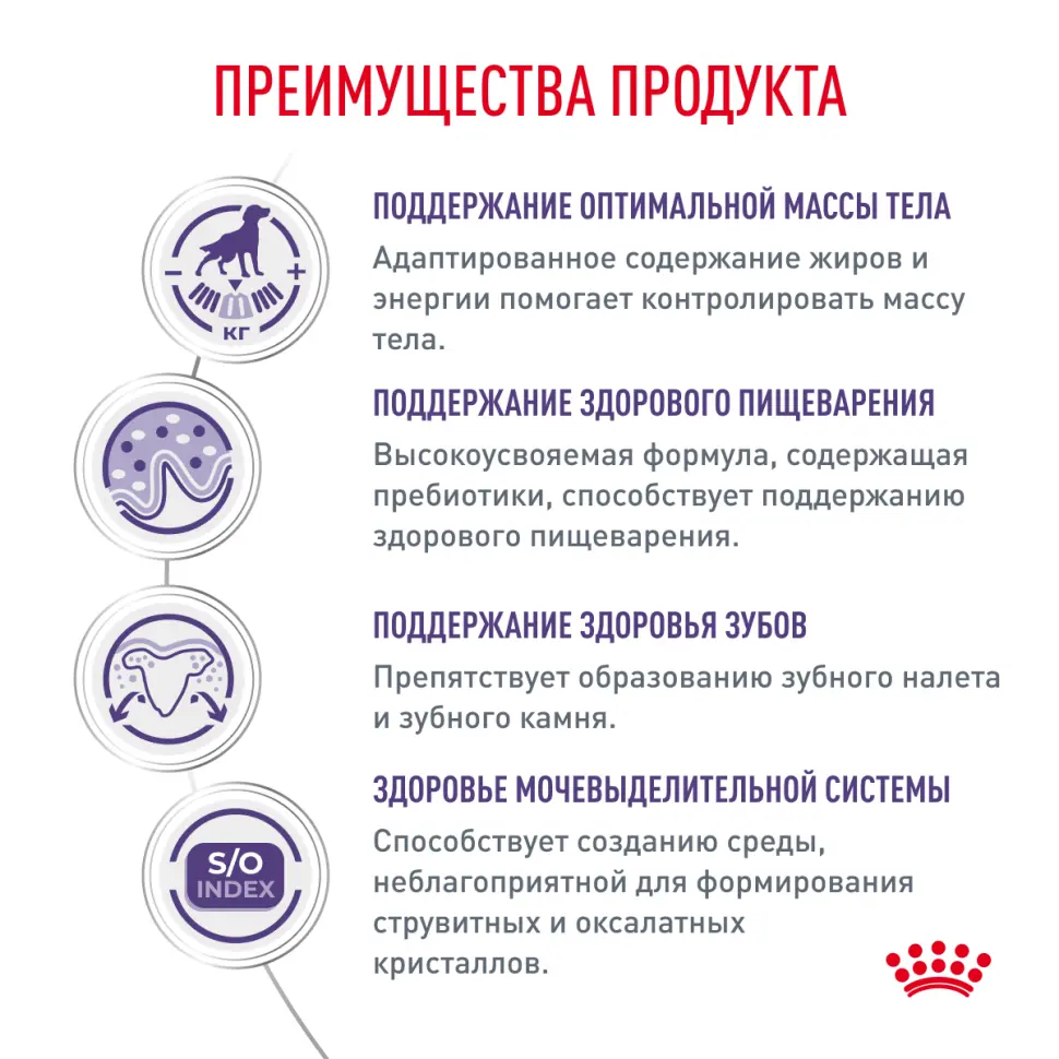 Royal canin neutered adult small dog сухой корм для взрослых кастрированных собак мелких пород 800г в интернет-зоомагазине Pets Room