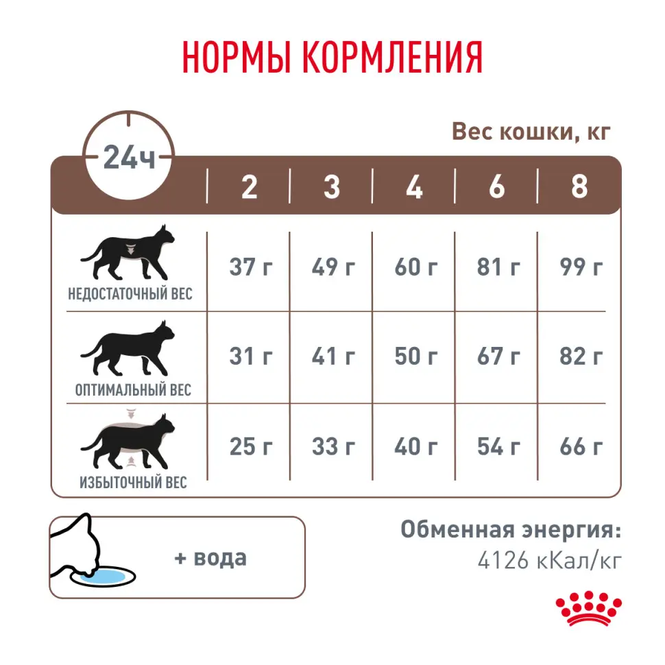 Royal canin hepatic лечебный сухой корм для кошек с заболеваниями печени - 500 г в интернет-зоомагазине Pets Room