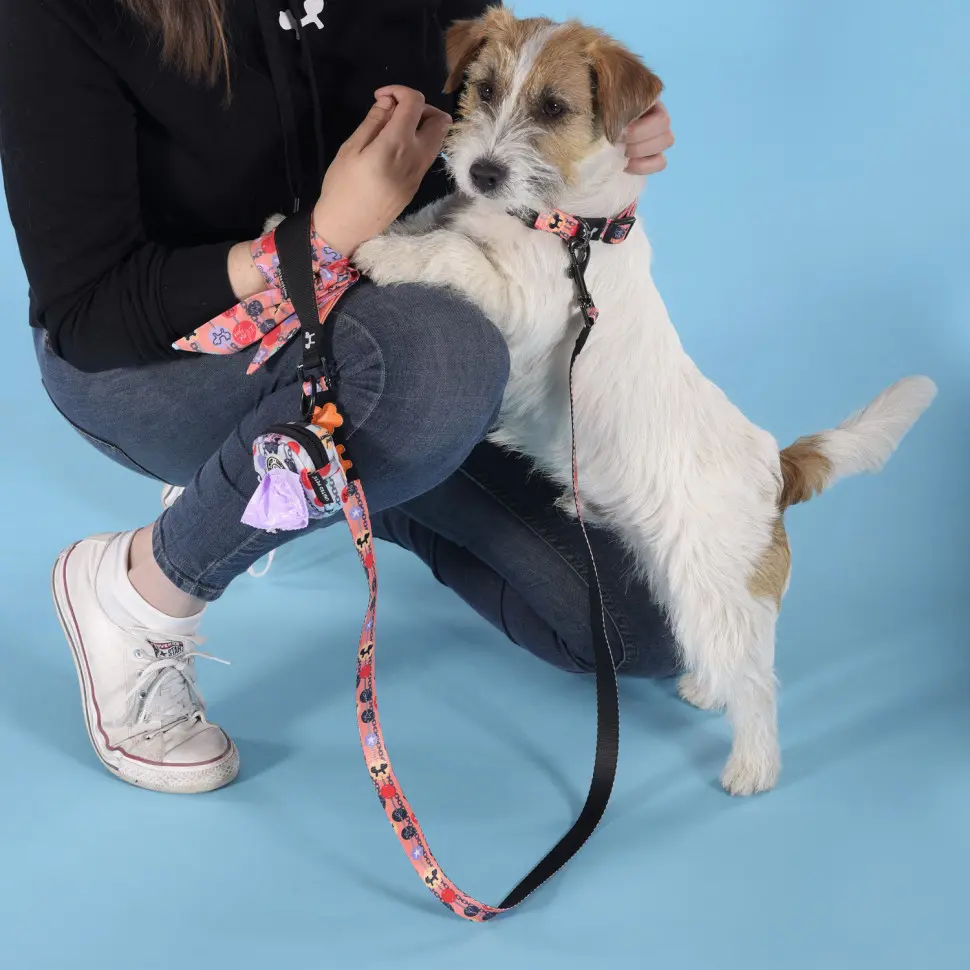 United pets complete me forever поводок для собак, 140 см, 16 мм, оранжевый с рисунком в интернет-зоомагазине Pets Room