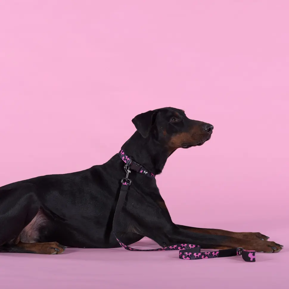 United pets complete me identity ошейник для собак, l 43-73/2,5 см, черный с розовым фото фото №2 United pets complete me identity ошейник для собак, l 43-73/2,5 см, черный с розовым в интернет-зоомагазине Pets Room