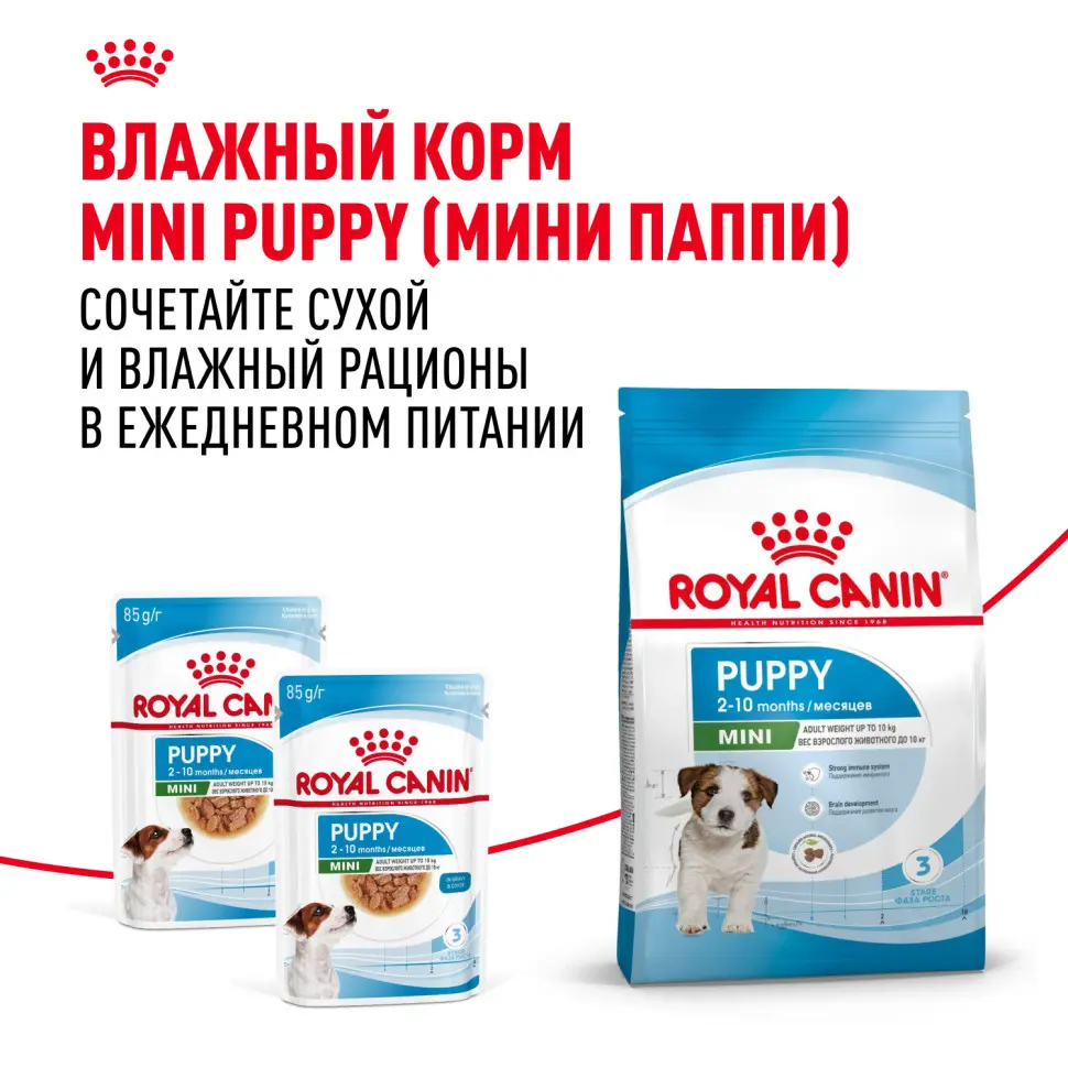 Royal canin mini puppy сухой корм для щенков мелких пород до 8 месяцев - 800 г в интернет-зоомагазине Pets Room