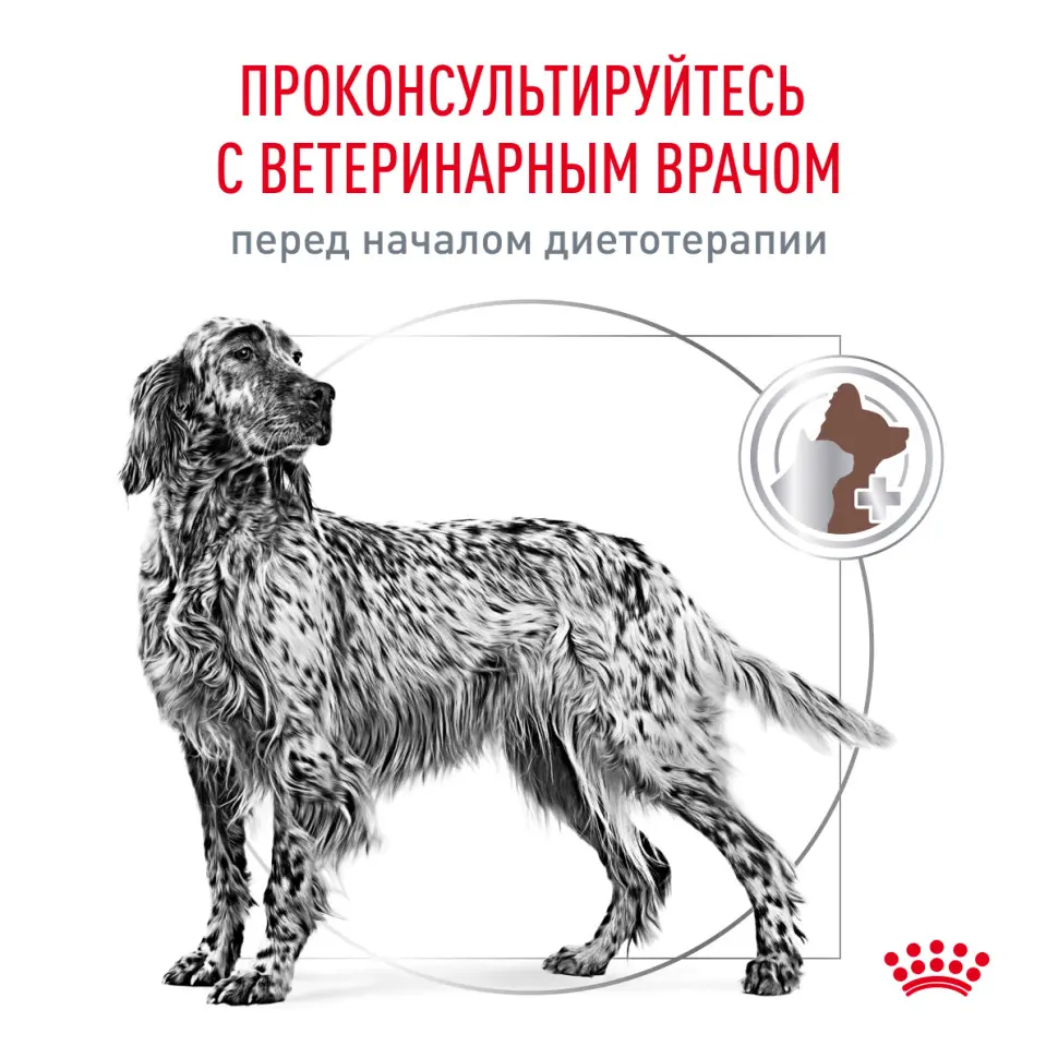 Royal canin canine gastro intestinal gi25 сухой диетический корм с птицей для взрослых собак всех пород при нарушении пищеварения - 2 кг в интернет-зоомагазине Pets Room