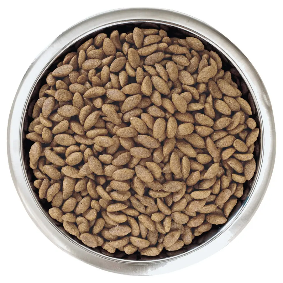 Pro plan opti derma medium сухой корм для взрослых собак средних пород при чувствительной коже с лососем - 3 кг в интернет-зоомагазине Pets Room