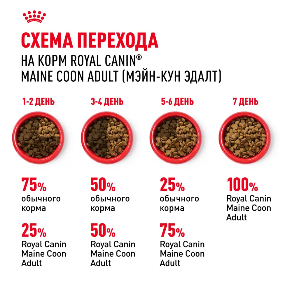 Royal canin maine coon adult сухой корм для взрослых кошек породы мейн - кун - 400 г в интернет-зоомагазине Pets Room