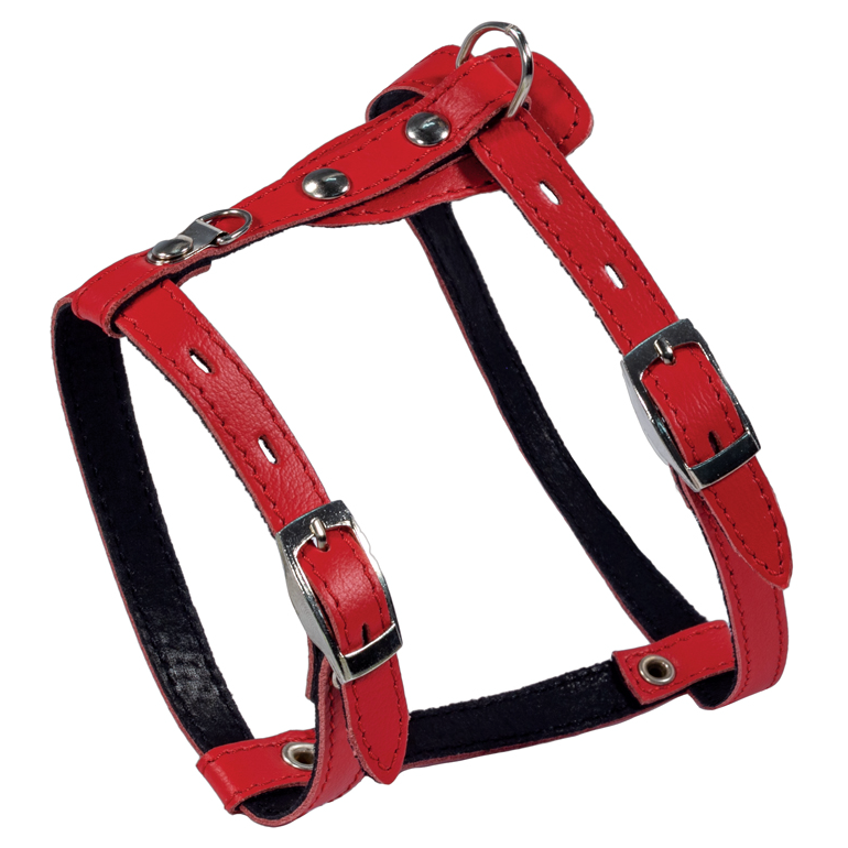 Шлейка кожаная "моника" обх. шеи 190-250мм, обх.гр. 280-340мм в интернет-зоомагазине Pets Room