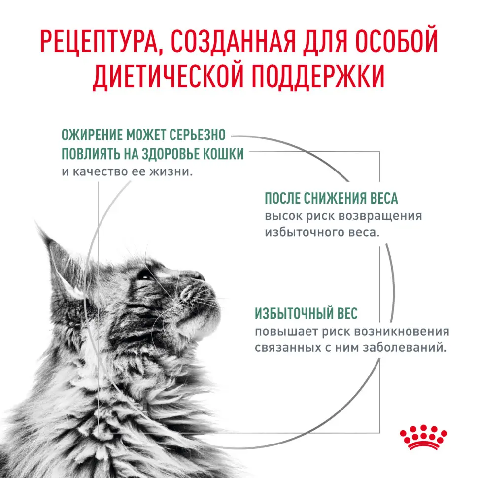 Royal canin satiety weight management сухой диетический корм для взрослых кошек с избыточным весом - 400 г в интернет-зоомагазине Pets Room