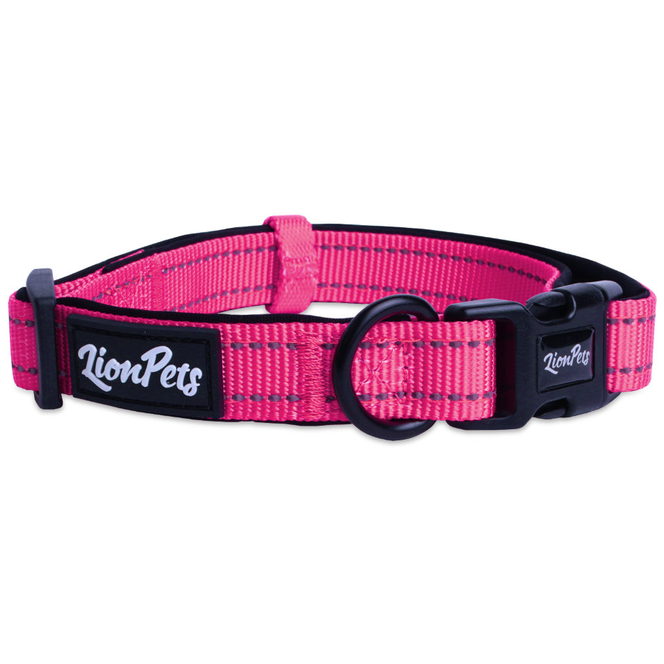 Ошейник для собак lionpets из полиэстера с неопреном и светоотражающими полосками lpo-00510-5 (обхват 40-65 см, ширина 2,5 см) в интернет-зоомагазине Pets Room