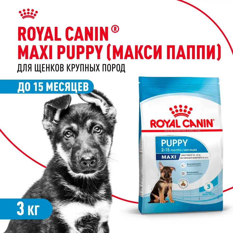 Royal canin maxi puppy сухой корм для щенков крупных пород до 15 месяцев - 3 кг в интернет-зоомагазине Pets Room