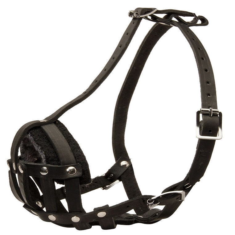Намордник кож №12 (такса) rich breed фото Намордник кож №12 (такса) rich breed в интернет-зоомагазине Pets Room