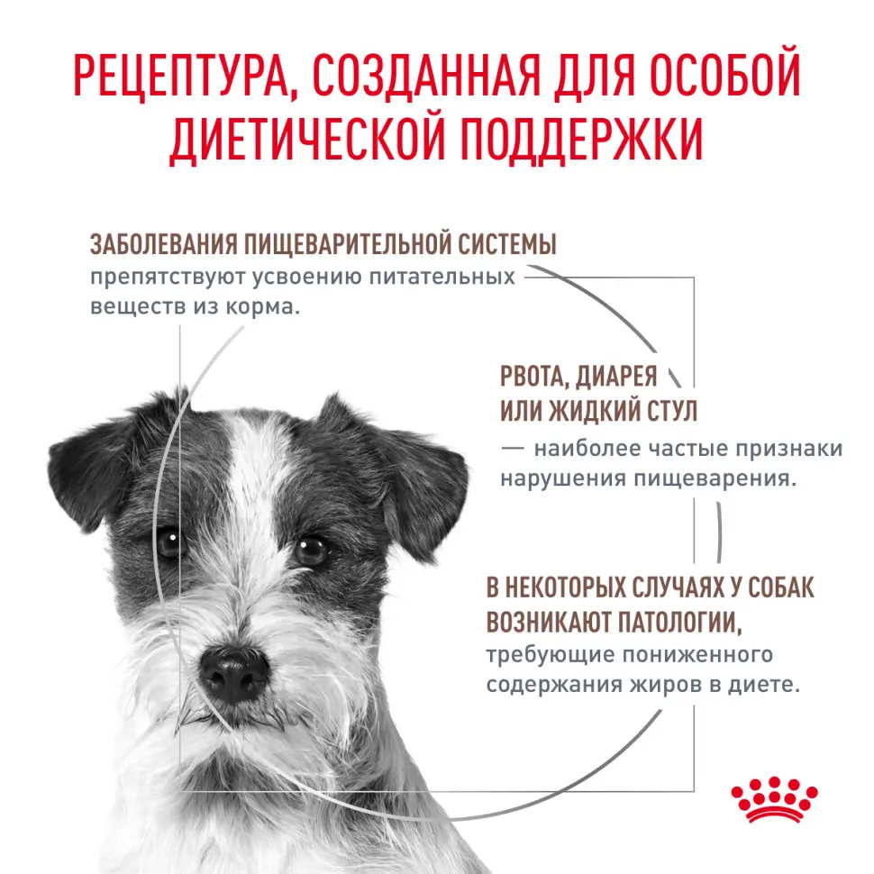 Royal canin gastrointestinal low fat small dog сухой корм для взрослых собак мелких пород при нарушениях пищеварения - 1 кг в интернет-зоомагазине Pets Room