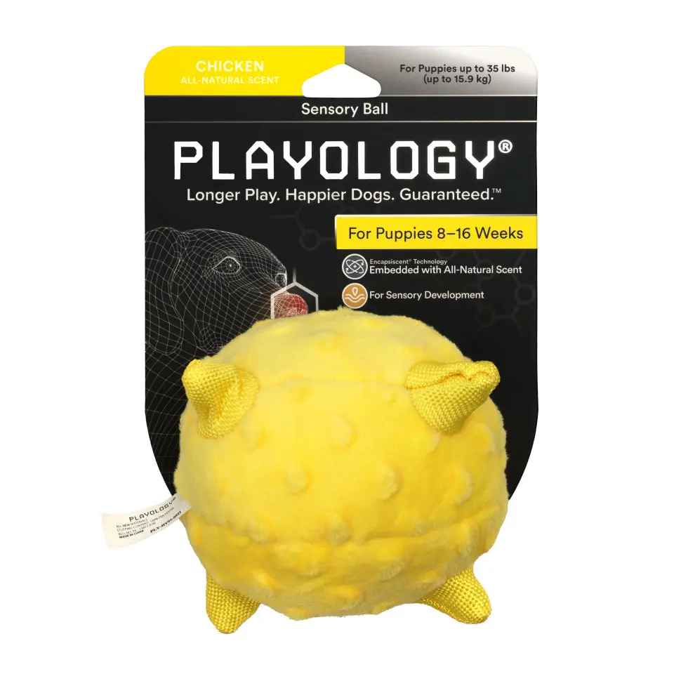 Playology puppy sensory ball сенсорный плюшевый мяч для щенков с ароматом курицы, 11 см, желтый в интернет-зоомагазине Pets Room
