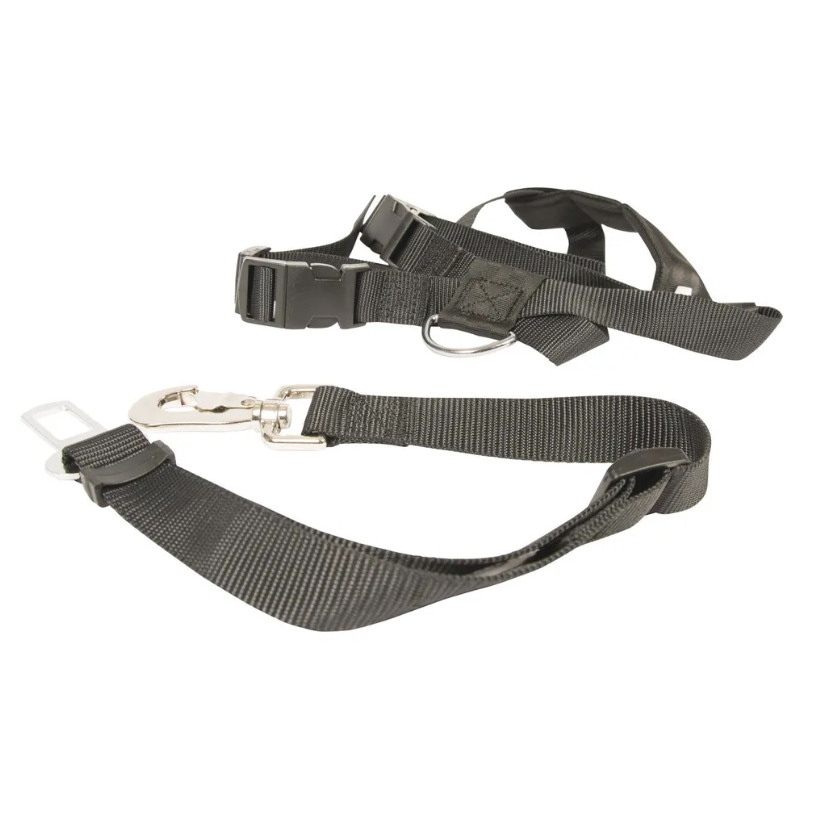 Duvo+ шлейка для собак автомобильная, черная, xl в интернет-зоомагазине Pets Room