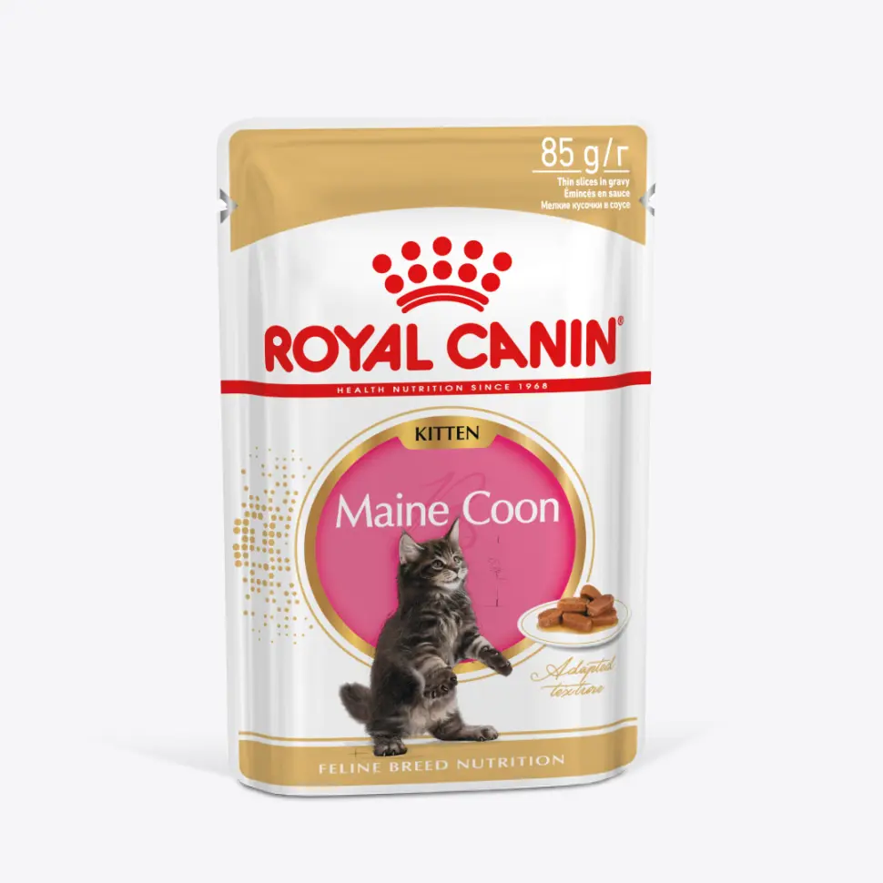 Royal canin kitten maine coon 85 г пауч влажный рацион для кошек породы мейн-кун в возрасте от 3 до 15 месяцев в интернет-зоомагазине Pets Room