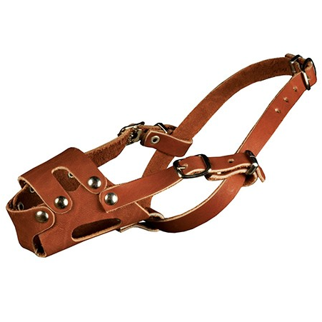 Намордник кожаный цельнокроеный для пуделя фото Намордник кожаный цельнокроеный для пуделя в интернет-зоомагазине Pets Room