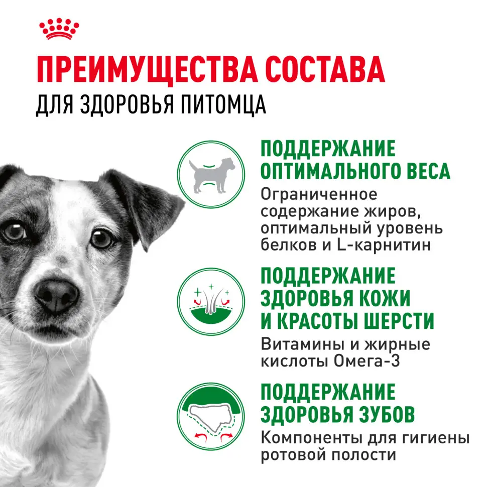 Royal canin mini adult сухой корм для собак мелких пород - 800 г в интернет-зоомагазине Pets Room