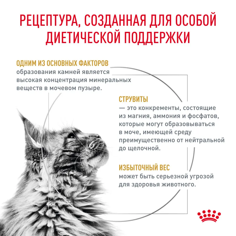 Royal canin urinary s/o moderate calorie сухой диетический корм для взрослых кошек, предрасположенных к набору веса, при мочекаменной болезни - 1,5 кг в интернет-зоомагазине Pets Room