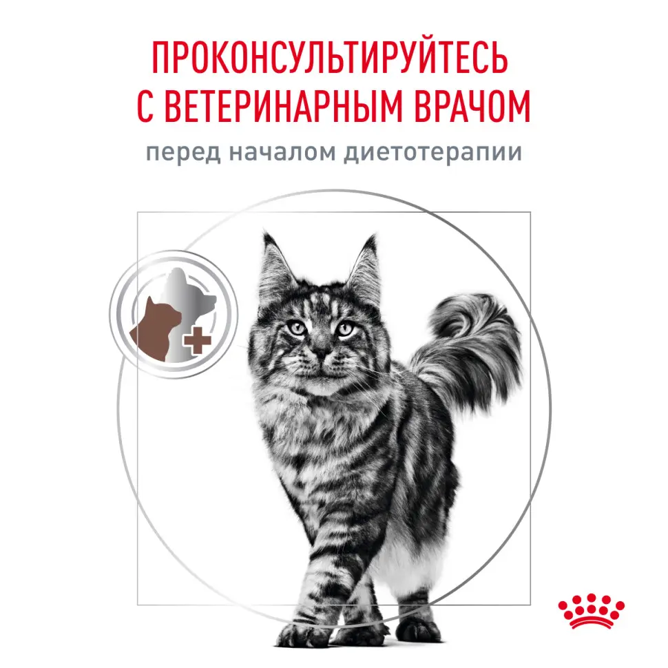 Royal canin gastro intestinal moderate calorie низкокалорийный сухой корм для кошек с нарушениями в работе пищеварительной системы - 400 г в интернет-зоомагазине Pets Room
