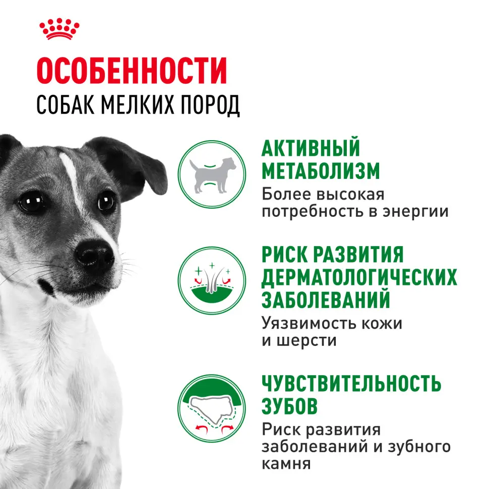 Royal canin mini adult сухой корм для собак мелких пород - 800 г в интернет-зоомагазине Pets Room