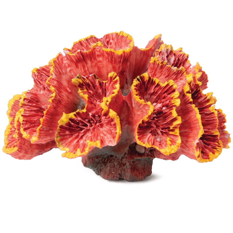 Коралл искусственный "кауластрея", s, красный, 70*50*45мм, laguna в интернет-зоомагазине Pets Room
