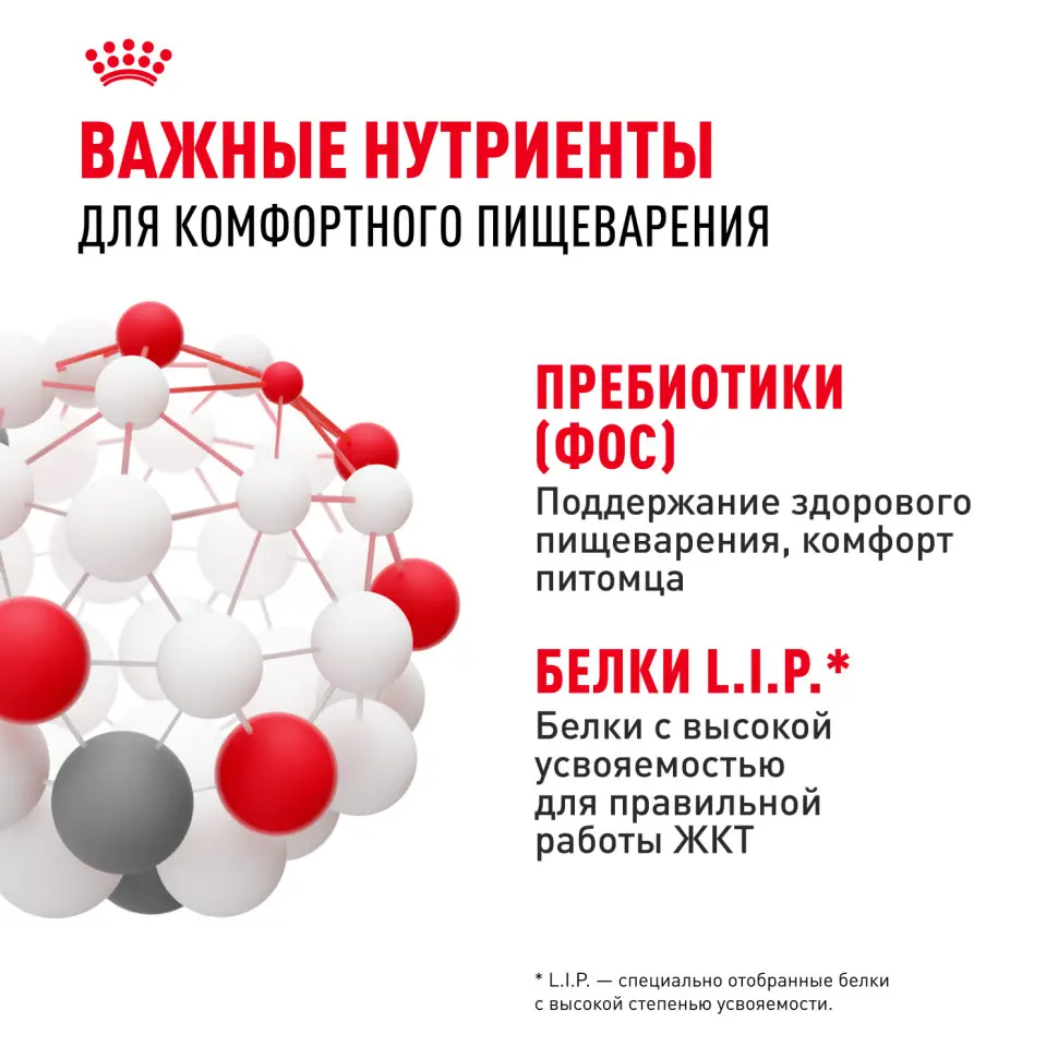 Royal canin sensible 33 сухой корм для взрослых кошек с чувствительной пищеварительной системой - 400 гр в интернет-зоомагазине Pets Room