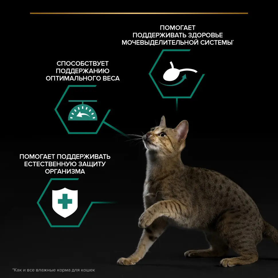 Pro plan 85 г пауч влажный  корм для взрослых стерилизованных кошек и кастрированный котов, с курицей в соусе в интернет-зоомагазине Pets Room