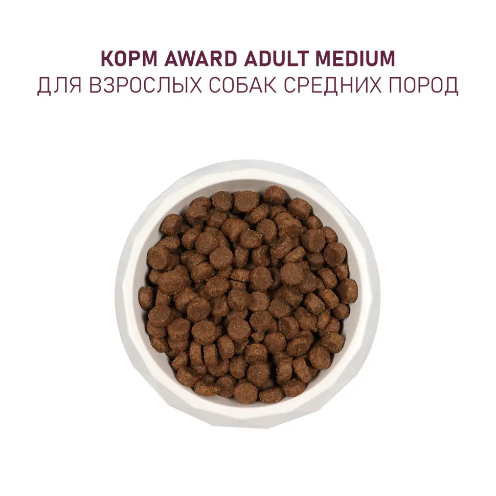 Award сухой корм для взрослых собак средних пород, с индейкой, курицей, морковью и черной смородиной - 2 кг в интернет-зоомагазине Pets Room