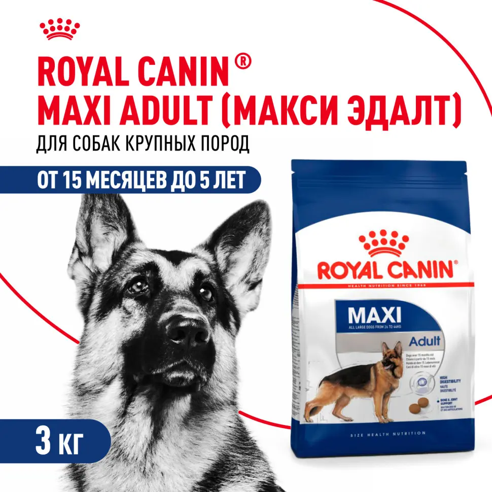 Royal canin maxi adult сухой корм для взрослых собак крупных пород - 3 кг в интернет-зоомагазине Pets Room